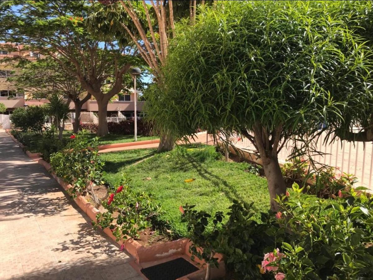 אדחה Oasis Del Duque Apartment מראה חיצוני תמונה