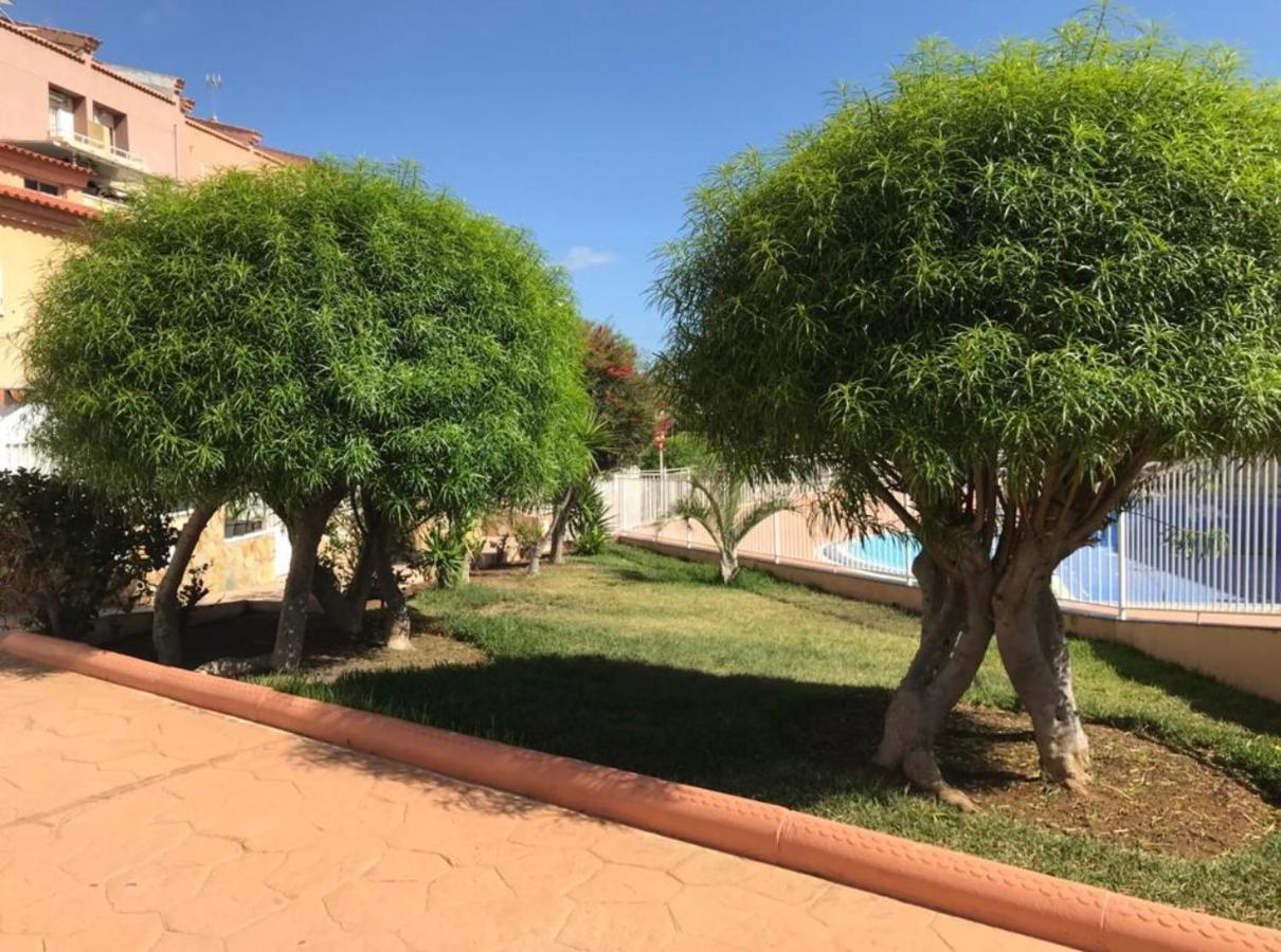 אדחה Oasis Del Duque Apartment מראה חיצוני תמונה