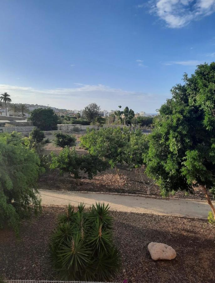 אדחה Oasis Del Duque Apartment מראה חיצוני תמונה